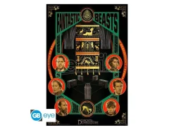 Animali Fantastici - Poster Maxi 91.5x61 - Casting