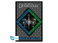 Animali Fantastici - Poster Maxi 91.5x61 - Silente Vs Grindelwald