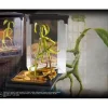 Animali Fantastici Creature Magiche Statua Bowtruckle 18 Cm Noble Collection