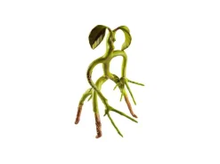 Animali Fantastici Statua Bowtruckle 19 Cm Noble Collection
