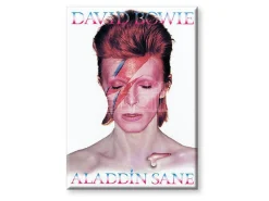 AQUARIUS ENT BOWIE ALADDIN SANE FLAT MAGNET MAGNETI