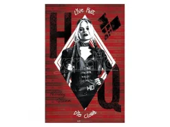 Dc Comics - Poster "harley Quinn" (91.5x61)