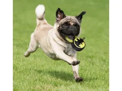 Dc Comics Batman Anello gioco da masticare per cane For Fun Pets Cerdà