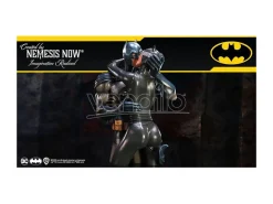 Dc Comics Busto Batman & Catwoman 30 Cm Nemesis Now
