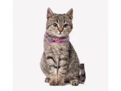 Dc Comics Supergirl Collare per cane XS/S For Fun Pets Cerdà