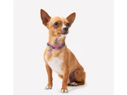 Dc Comics Supergirl Collare per cane XS/S For Fun Pets Cerdà