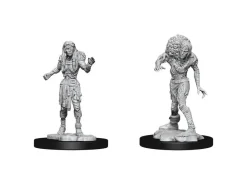 D&d Nolzur's Marvelous Miniatures Unpainted Miniatures Drowned Assassin & Drowned Ascetic Case (6) Wizkids