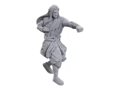 D&d Nolzur's Marvelous Miniatures Unpainted Miniatures 2-pack Archdruid & Martial Arts Adept Wizbambino