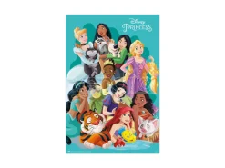 Disney Princess poster Erik