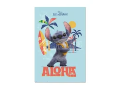 Disney Stitch Live Action Aloha poster Erik