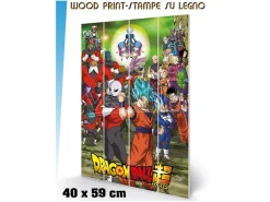 DRAGON BALL TOURNAMENT WOOD PRINT STAMPA SU LEGNO PYRAMID INTERNATIONAL