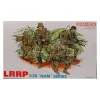Dragon D3303 LRRP KIT 1:35 Modellino