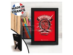 Harry Potter - Frame Kraft 15x20cm - Pop Color - Grifondoro