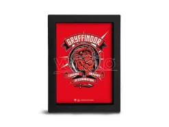 Harry Potter - Frame Kraft 15x20cm - Pop Color - Grifondoro