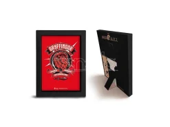 Harry Potter - Frame Kraft 15x20cm - Pop Color - Grifondoro