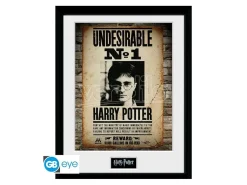 HARRY POTTER - Framed print "Undesirable No 1" (30x40)