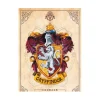 Harry Potter - Poster "Grifondoro" 91.5 x 61 cm AbyStyle