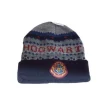 Harry Potter Berretta Invernale Grigia e Blu Hogwarts Taglia Unica Warner Bros.