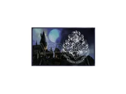 Harry Potter Hogwarts Tappeto Warner Bros.