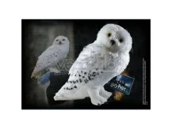 Harry Potter Peluche Edvige La Civetta 38 Cm Noble Collection