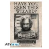 Harry Potter Poster Wanted Sirius Black Gadget