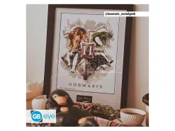 Harry Potter Stampa Incorniciata "Hogwarts Water Colour" (30x40 Cm) GB Eye