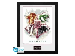 Harry Potter Stampa Incorniciata "Hogwarts Water Colour" (30x40 Cm) GB Eye