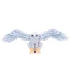 Harry Potter Wall Plaque Hedwig 45 Cm Nemesis Now