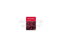 MINICHAMPS PMMCBK01 PASSION OF MODEL CARS VOL.1 PAG.160 Modellino