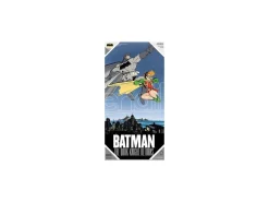 Poster Dk Ret Batman E Robin Poster Di Vetro Sd Toys