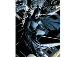 Sd Toys Dc Universe Batman Watcher Poster di Vetro Poster